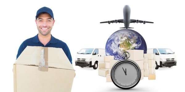 International Courier Services for Global Shipping Needs