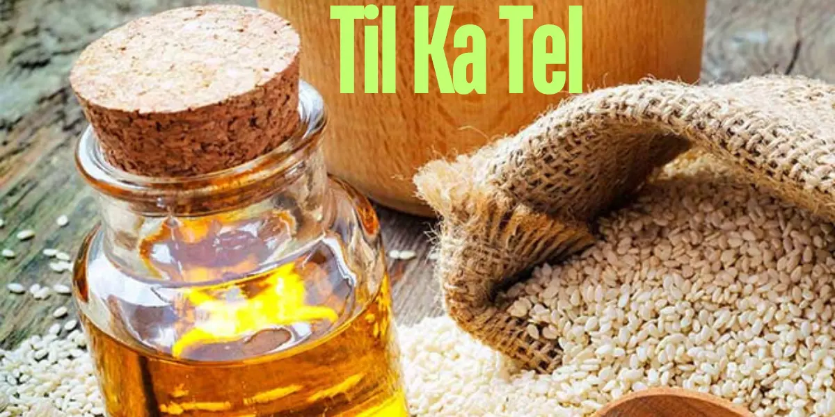 Til Ka Tel: Benefits and Uses of Sesame Oil