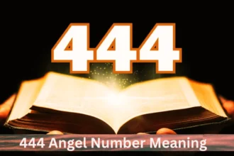 444 angel number meaning